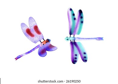 two colorful dragonfly flying insects isolated over white