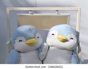 Two Colourful Cute Soft Toy Penguins In Close Up Outside Retail Store 