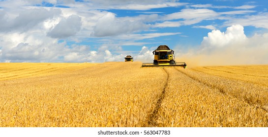 Two Combine Harvesters Cutting Wheat, Summer Landscape of endless Fields under blue sky with clouds - Shutterstock ID 563047783