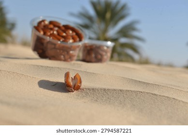 Two containers of fresh dates displayed in a desert oasis.