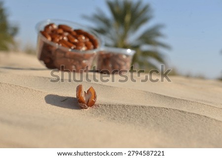 Two containers of fresh dates displayed in a desert oasis.
