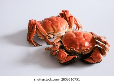 Two cooked red crabs on a clean white background, shot in studio light. Simple seafood still life with space for text, ideal for food, menu, restaurant, or fresh market themes.