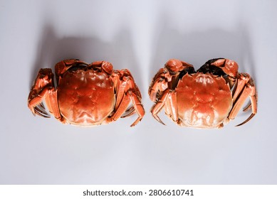 Two cooked red crabs side by side on a clean white background, shot from above with soft shadows. Simple seafood food image for menu, recipe, market, or restaurant use.