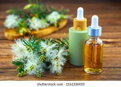 Two Cosmetic Bottles With Oil And Fresh Tea Tree Branch. Tea Tree Oil (Melaleuca Alternifolia)