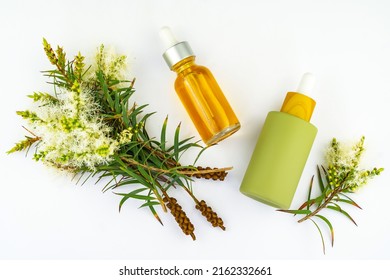 Two Cosmetic Bottles With Oil And Fresh Tea Tree Branch On A White Background. Tea Tree Oil (Melaleuca Alternifolia)