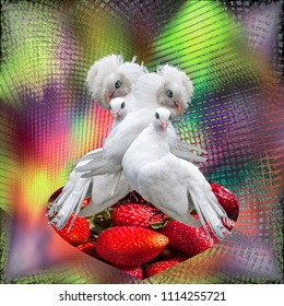 Two Couple Of White Doves On The Scarlet Heart Of Fresh Strawberries And Rainbow Background. Sexual Revolution