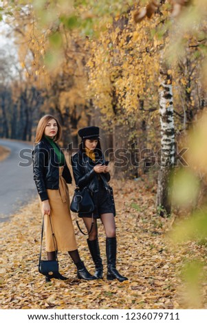two cozy smiling young girls walk at autumn park road an make photos
