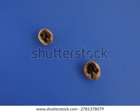 Two cracked walnut shells with dark brown and black kernels on blue background. Top view of two walnut shell halves arranged diagonally displaying a dry dark brown kernel and a shriveled black kernel on a blue paper surface