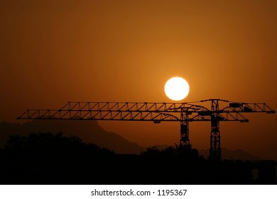 Two cranes during sunset, Egypt