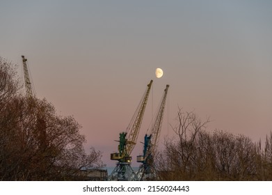 Two Cranes In The Port Against Clear Evening Sky. Moon Shining In The Sky
