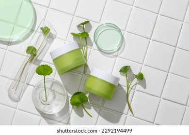 Two cream jars unbranded and fresh gotu kola leaves decorated with some lab glassware on white tile background. Mockup scene of natural cosmetics, moisturizers with ingredients from gotu kola