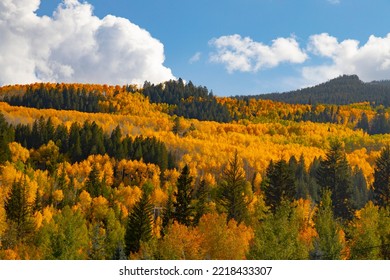 Two Creeks Area Of Aspen Snowmass Ski Resort In Autumn.