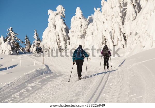 nordic ski backpack