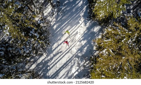 Two Cross Country Skiers Training In Skate Ski Technique, On The Snow Forest Trail, Aerial Top Down Drone Shot.