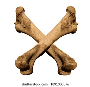 Two Crossed  Femur Bones Of Cow. Isolated On White  Background.