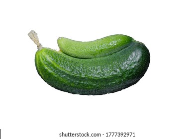 Two Cucumbers Grow As One, A Mutant Cucumber Isolated On A White Background, A Plant Of The LGBT Community