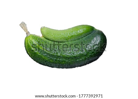 two cucumbers grow as one, a mutant cucumber isolated on a white background, a plant of the LGBT community