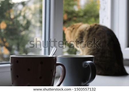 Two cups of tea on the windowsill and a cat in the background