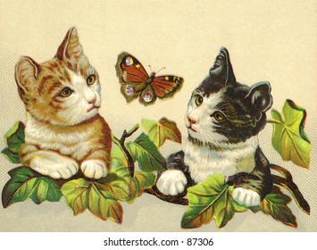 Two curious kittens chasing a butterfly - a vintage (c.1890) illustration.