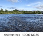 Two currents come together to form a seam or riffle on the McKenzie River in Oregon. This type of pocket water often holds native redside rainbow trout.