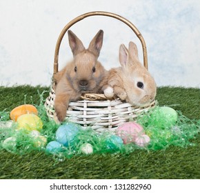 Two cute Easter bunnies sitting in a basket with Easter eggs and Easter grass all around them.