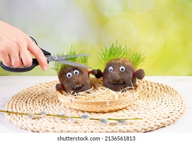 Two cute homemade grass heads and hand trimming growing hair grass. Stockings filled with soil and grass seeds. Fun spring hobby gardening.
