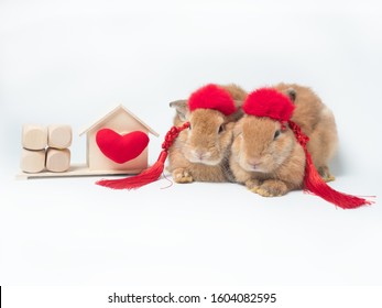 Two Cute Little Brown Bunny Rabbits With Bright Color Hair Piece Sitting Next To Wooden House, Red Heart And 4 Blocks On White Background. Chinese New Year, New Home, Valentine Day Or Wedding Concept