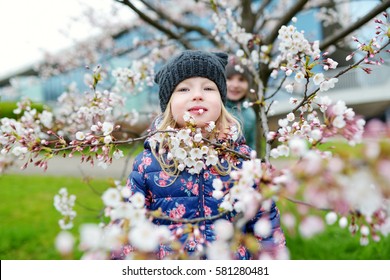 Two Cute Little Sisters Having Fun In Blooming Cherry Garden On Beautiful Early Spring Day 