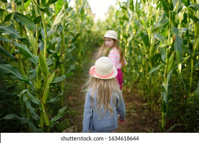 Two cute young girls having fun in a corn maze field during autumn season. Games and entertainment during harvest time. Active family leisure with kids.