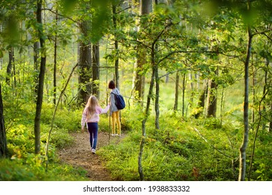 Two Cute Young Sisters Having Fun During Forest Hike On Beautiful Summer Day. Children Exploring Nature. Active Family Leisure With Kids. Family Fun.