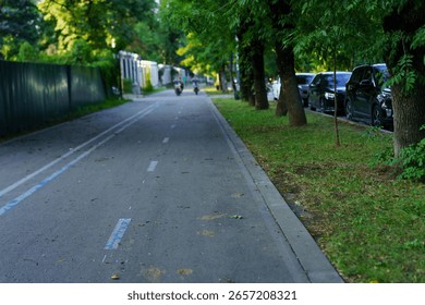Two cyclists glide smoothly down a wide, tree-shaded bicycle lane next to parked cars on a quiet suburban street during early evening light.