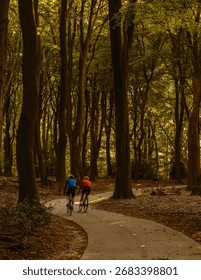 Two cyclists navigate a winding path through the enchanting autumn landscape of Speulderbos in Veluwe, Netherlands. The tall trees create a serene atmosphere surrounded by vibrant fall colors.