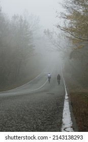 Two Cyclists Riding Down A Country Road On A Foggy Morning. A Mystical Autumn Landscape. Sports In All Weathers And Seasons