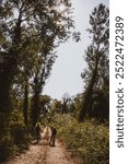 Two cyclists take a break on a sunlit forest path, surrounded by tall trees and lush greenery.