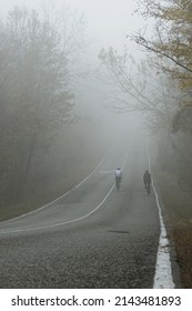 Two Cyclists With Their Backs To The Camera Riding Down A Country Road On A Foggy Morning. A Mystical Autumn Landscape. Sport Without Limits, In All Weathers And Seasons