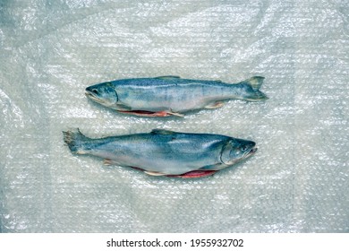 Two dead fish on plastic wrap. A fish dish.
