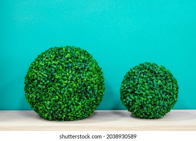 Two Decorative Balls Made Of Green Artificial Boxwood Stand On  Wooden Surface Near  Turquoise Wall. Interior Decorations.