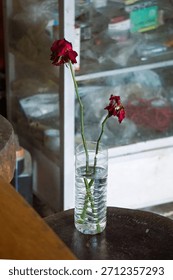 Two deep red, slightly wilted roses placed in a recycled clear plastic water bottle used as a makeshift vase, set on a wooden surface against a blurry, cluttered background. The concept explores theme