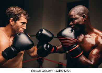 Two Determined Male Boxers Facing Off In A Boxing Ring. Two Young Boxers Getting Ready To Start Fighting During A Boxing Match.