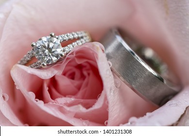 Two Diamond Wedding Engagement Rings In A Pink Rose With Water Drops Macro Close Up Detailed No People Copy Space