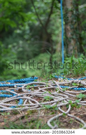 Two different coloured ropes laying tangled on the floor, tied to a tree in the distance.
