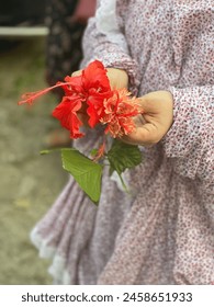 Two different typers of Hibiscus
