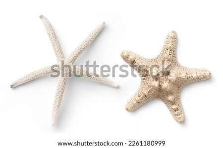 two different types of white starfish isolated over a white background, ocean, sea, beach, summer vacation design element, flat lay, top view with subtle shadows