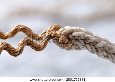 Two distinct ropes, one brown and one white, are tightly knotted together, symbolizing connection and unity.
