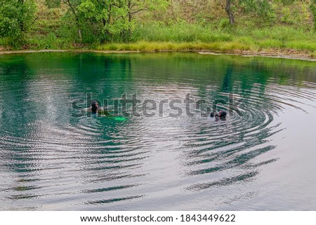 two divers not completely submerged in the water, looking at each other, summer, noon, near the shore, soft focus; main subject in soft focus