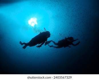 two divers swimming underwater with sunlight shining from above and surrounded by school of fish - Powered by Shutterstock