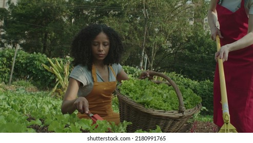 Two Diverse Young Women Working At Farm Treating The Soil. Farming Workers At Urban City Farm