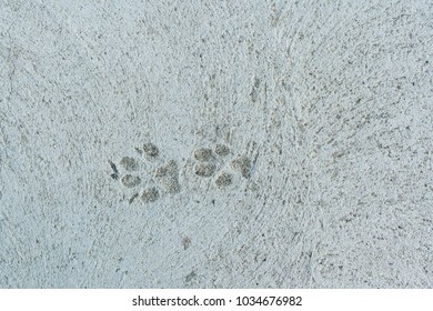 111 Two sets of footprints Stock Photos, Images & Photography ...