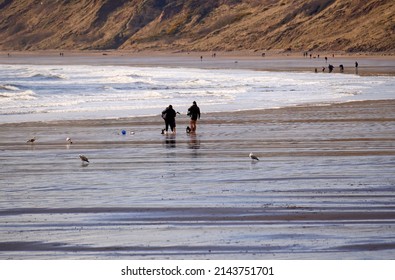 Two Dog Walkers On A Wet Beach                               