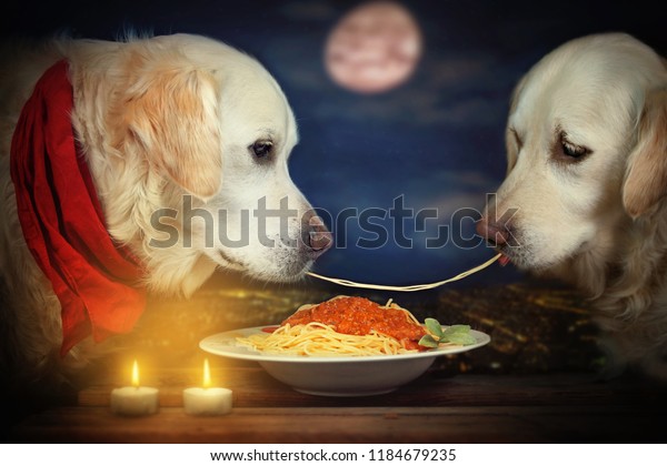 Can Dogs Eat Leftover Spaghetti Bolognese